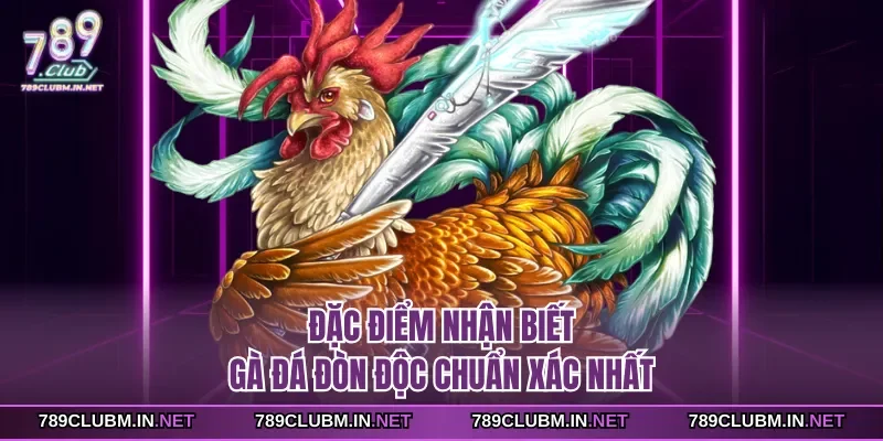 dac-diem-nhan-biet-ga-da-don-doc-chuan-xac-nhat